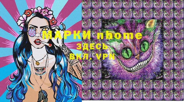 стафф Алзамай