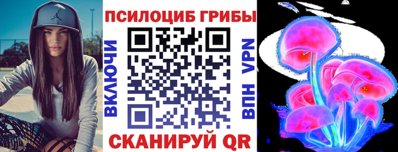 Купить  Анадырь  Псилоцибиновые грибы MAGIC MUSHROOMS 